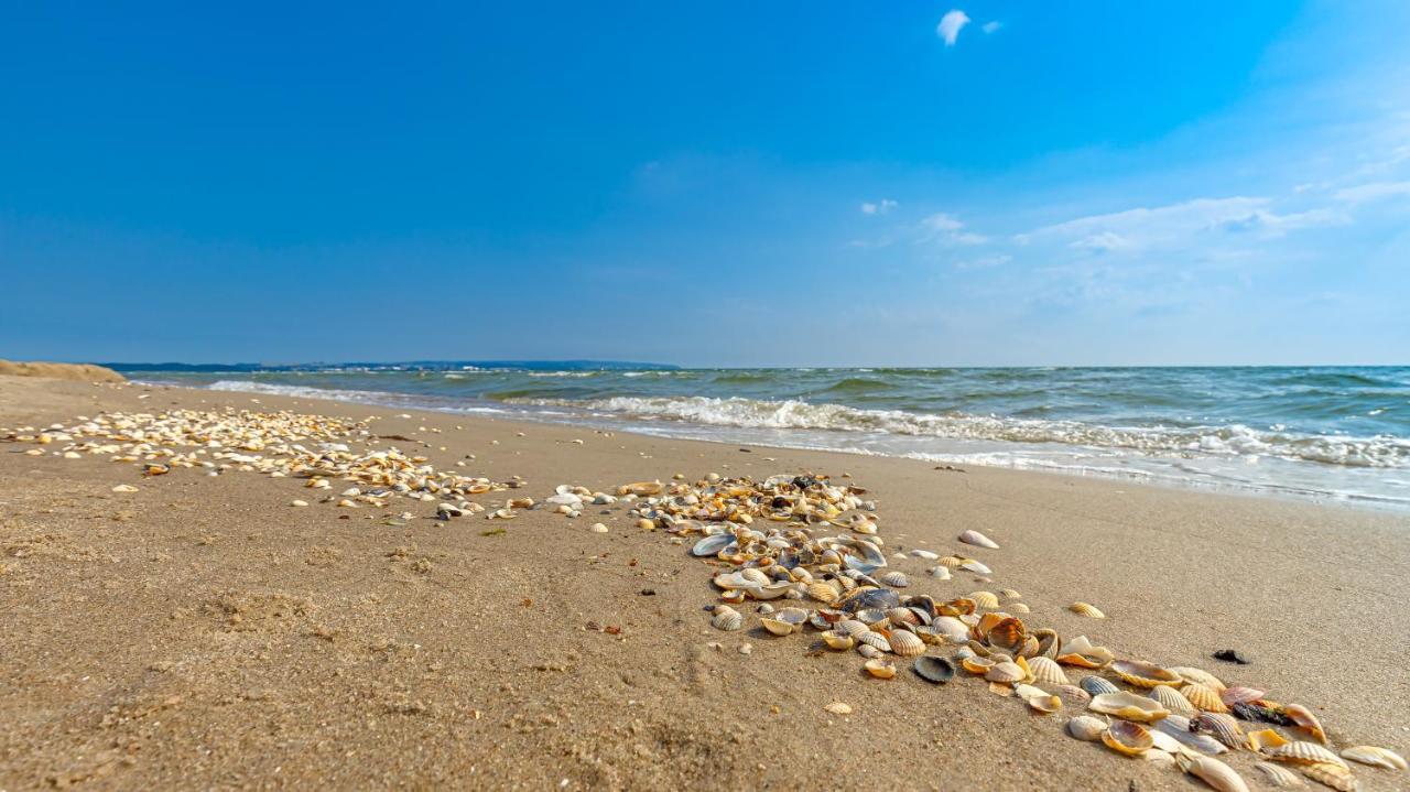 Strandurlaub Ruegen "Luett Matten" Appartement Binz Buitenkant foto